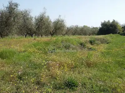 Land plot for sale in Tar - 7