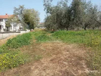 Land plot for sale in Tar - 5