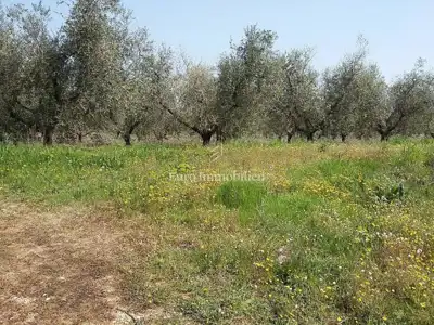 Land plot for sale in Tar - 8