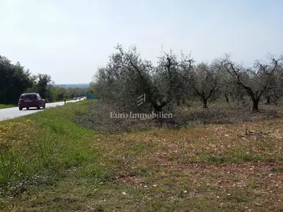 Land plot for sale in Tar - 12