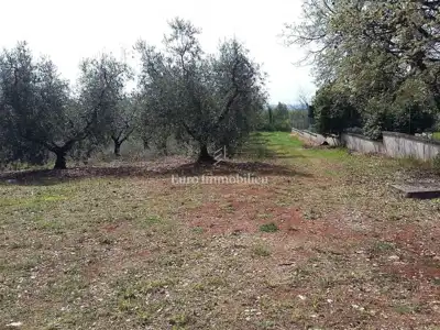 Land plot for sale in Tar - 10