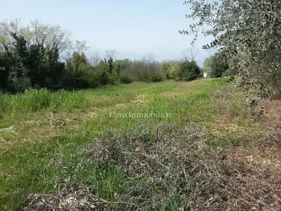 Land plot for sale in Tar - 3