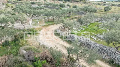 Poljoprivredno zemljište 14.049 m², Supetar, pogled na more - 9