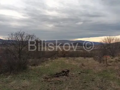 Građevinsko zemljište 3 000 m², Mirlović Polje, uz glavni put