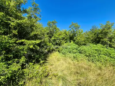 Agricultural land 3,776 m², Labin - quiet location - 3
