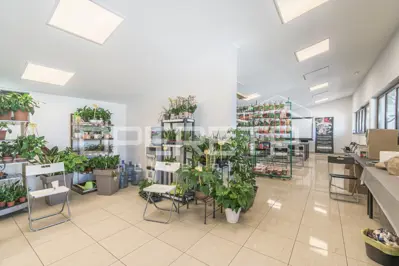 Anwesen 35.000 m², Rovinj - etablierte Gewächshausproduktion - 10