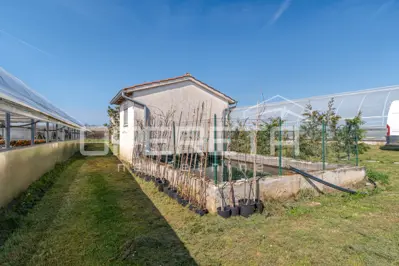 Anwesen 35.000 m², Rovinj - etablierte Gewächshausproduktion - 17