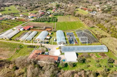 Anwesen 35.000 m², Rovinj - etablierte Gewächshausproduktion - 5