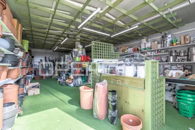Anwesen 35.000 m², Rovinj - etablierte Gewächshausproduktion - 19