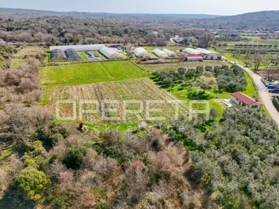 Anwesen 35.000 m², Rovinj - etablierte Gewächshausproduktion - 21