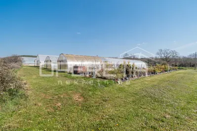 Anwesen 35.000 m², Rovinj - etablierte Gewächshausproduktion - 20
