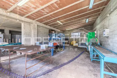 Anwesen 35.000 m², Rovinj - etablierte Gewächshausproduktion - 18