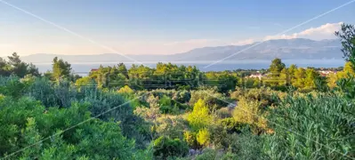 Građevinsko zemljište 3 000 m², Supetar, pogled na more - 8