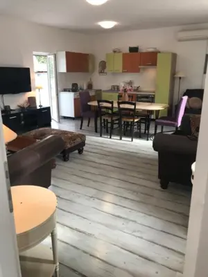 Dvije istarske kamene kuće okolica, višnjana! - 8