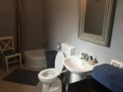 Dvije istarske kamene kuće okolica, višnjana! - 6