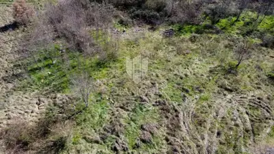Građevinsko zemljište 4.000 m², Poreč okolica - mirno okruženje