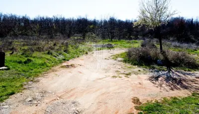 Building plot 4,000 m², Poreč surroundings - peaceful environment - 6