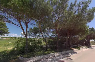 Pag Island - building plot by the road with greenery