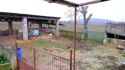 Imanje 24 000 m², Bale - veliko zemljište i kuće - 15