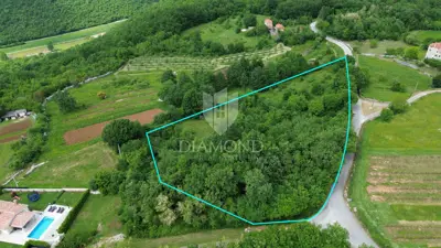 Building-agricultural land 9,218 m², Labin - 3