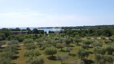 Poreč, impressive villa in a top location! - 5