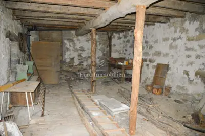 Istra - Authentic stone house and building plot - 12