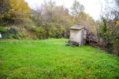 Istra - Authentic stone house and building plot - 13