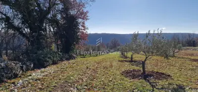 Land 22,440 m², Pićan - olive grove, vineyard and view of Učka - 12