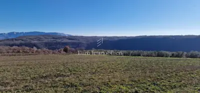 Land 22,440 m², Pićan - olive grove, vineyard and view of Učka - 5
