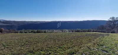 Land 22,440 m², Pićan - olive grove, vineyard and view of Učka - 8