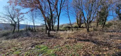 Land 22,440 m², Pićan - olive grove, vineyard and view of Učka - 15