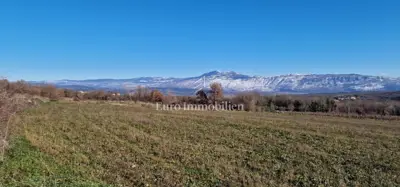 Land 22,440 m², Pićan - olive grove, vineyard and view of Učka - 2