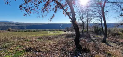 Land 22,440 m², Pićan - olive grove, vineyard and view of Učka - 10