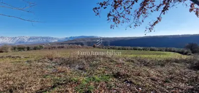 Land 22,440 m², Pićan - olive grove, vineyard and view of Učka - 11
