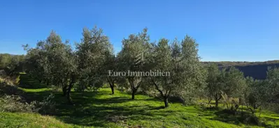 Land 22,440 m², Pićan - olive grove, vineyard and view of Učka