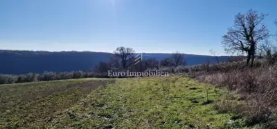 Land 22,440 m², Pićan - olive grove, vineyard and view of Učka - 4