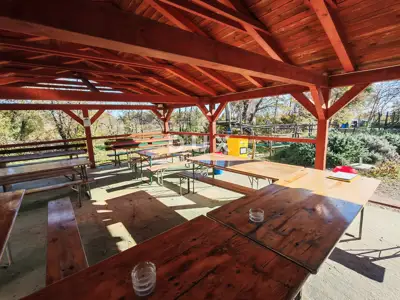 Tourist estate 23,000 m², Barban - adrenaline park - 14