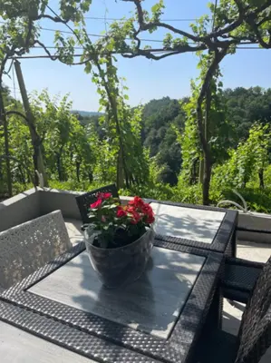 Wochenendhaus, Donja Voća, Blick ins Grüne und auf den Weinberg - 20
