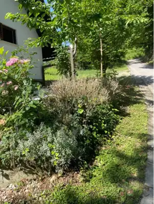 Wochenendhaus, Donja Voća, Blick ins Grüne und auf den Weinberg - 19