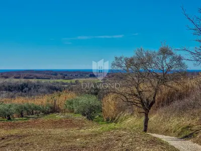 Land 1,036 m², Buje - open sea view - 8