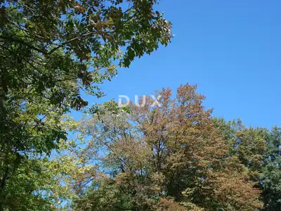 Poreč, Kuneli, zemljište, 21.700 m²