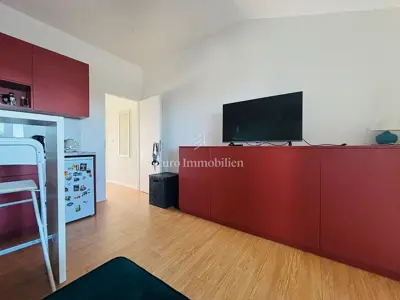 Kuća 550 m², Novalja - 3 apartmana i uređeno dvorište - 20
