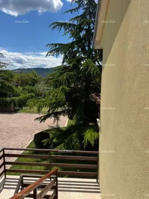 Buzet, großzügiges freistehendes Haus mit großem Grundstück und Meerblick - 4