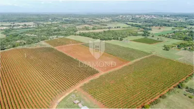 Land 6,148 m², Marčana - peaceful and flat