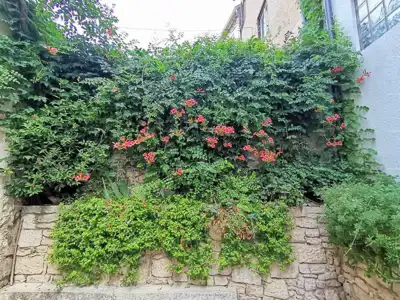 House 147 m², Medulin - 3 bedrooms and 2 bathrooms