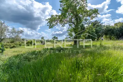 Istra, Vižinada Umgebung - Baugrundstück - 2