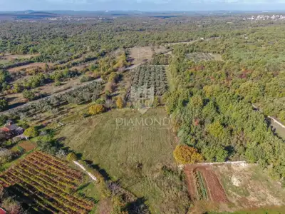 Building plot 1,127 m², Svetvinčenat - view of greenery - 3
