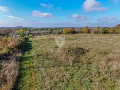 Building plot 1,127 m², Svetvinčenat - view of greenery - 5