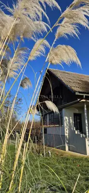 House 300 m², Lipovec - quiet location and large estate - 4