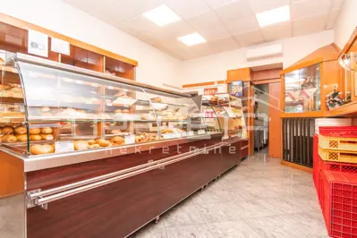Prodaja, Kuća, Krapinske toplice, Ulica Ljudevita Gaja, Kuća u nizu, 300 m² - 21